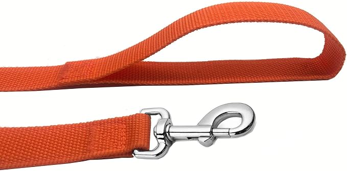 Strong Nylon Dog Leash, 4FT/ 5 FT/ 6FT Dog Leashes for Medium Large Dogs (5FT, Orange)