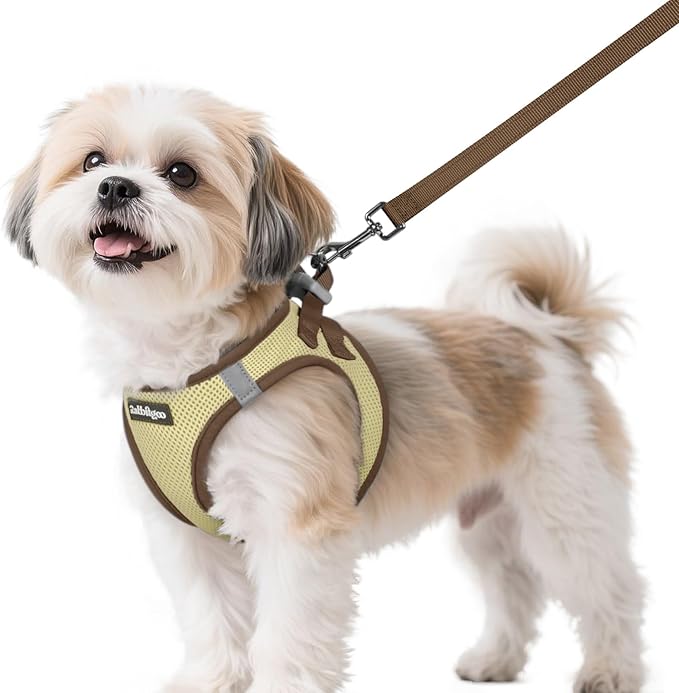 rabbitgoo Dog Harness Small Sized and Leash Set, Step-in Breathable Pet Harness, Soft Walking Reflective Puppy Vest for Small Dogs, Beige & Coffee, S