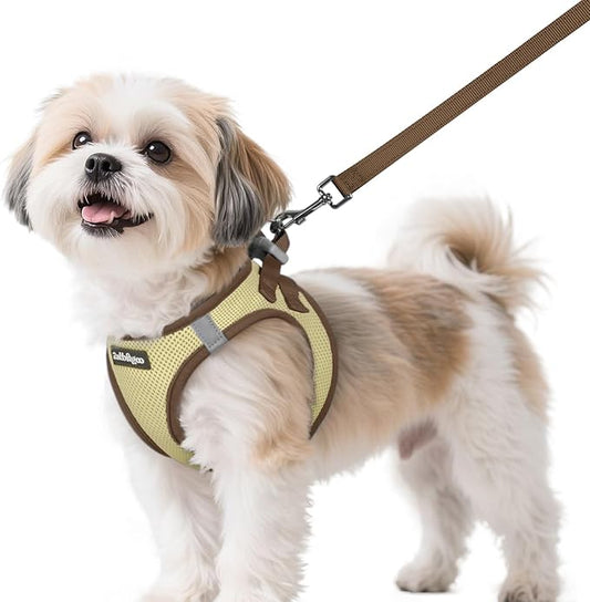 rabbitgoo Dog Harness Small Sized and Leash Set, Step-in Breathable Pet Harness, Soft Walking Reflective Puppy Vest for Small Dogs, Beige & Coffee, S