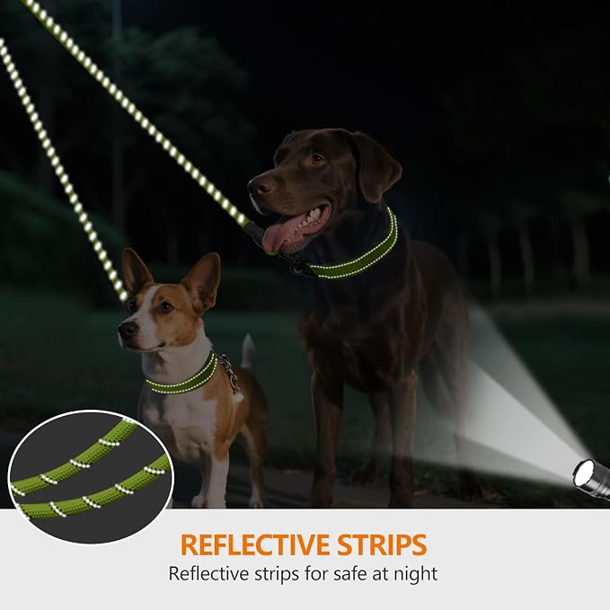Taglory Double Dog Leash Coupler for Two Dogs, 1/3" Lightweight Dual Leash Extension for Small and Medium Dogs, No Tangle 360° Swivel, Reflective Rope, 30 Inch, Green