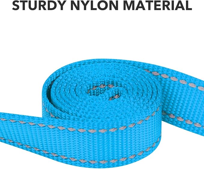 Taglory Dog Leash for Small Dogs, Double-Sided Reflective for Night Walking, Neoprene Padded Handle, 3/4 inch by 4 ft, Lightweight for Small Medium Breeds up to 30 lbs, Sky Blue