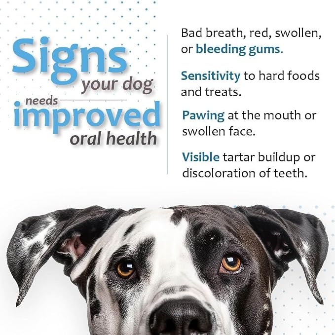 Oral Hygiene Chews for X-Large Dogs – Enzymatic Dental Treats for Daily Oral Care, Helps Clean Teeth & Freshen Breath, Supports Plaque & Tartar Control – 15 Chews (3 Pack)