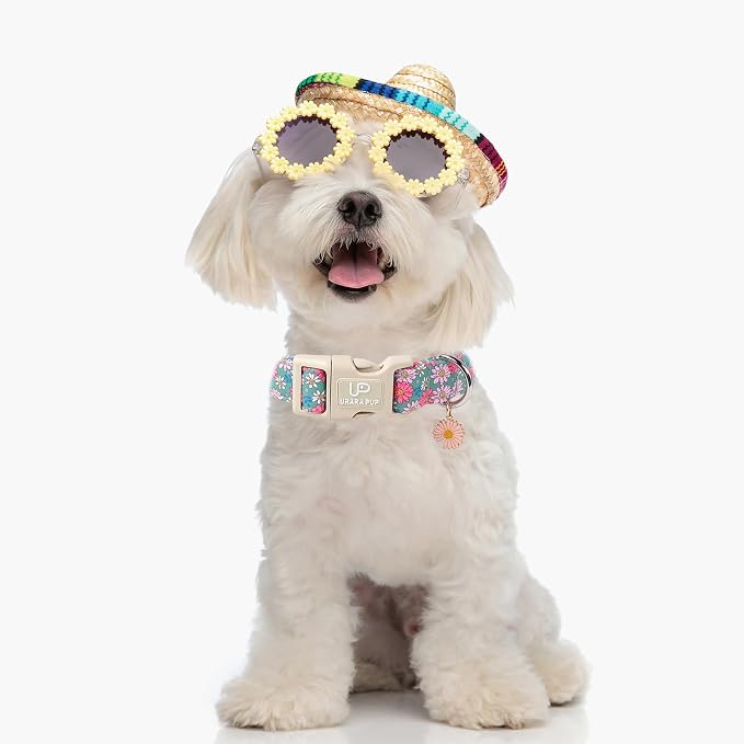 Summer Dog Collar–Spring Summer Floral Dog Collars,Wildflowers Pet Collar with Quick Release,Adjustable for Small/Medium Dogs