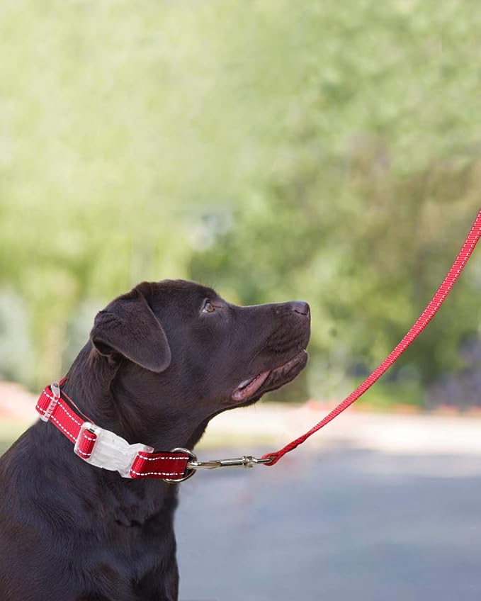 Taglory Dog Leash for Medium Large Dogs, Double-Sided Reflective for Night Walking, Neoprene Padded Handle, 1 inch by 6 ft, Heavy Duty for Medium Large Breeds 20-150 lbs, Red