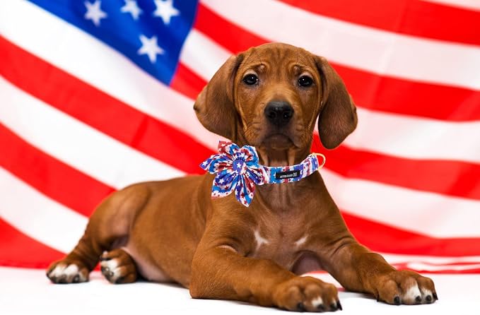 Maca Bates American Flag 4th of July Dog Collar with Flower Bow 4 of 7 for Dogs Adjustable Durable Star Patriotic USA Collars Summer Independence Day for Small Medium Large XL Boy Girl Puppy