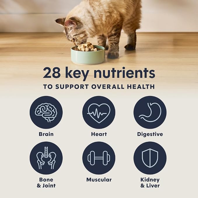 Instinct Raw Boost Mixers, Freeze Dried Cat Food Toppers with Functional Ingredients, Grain Free, Real Beef - Multivitamin for Adults, 5.5 oz Bag