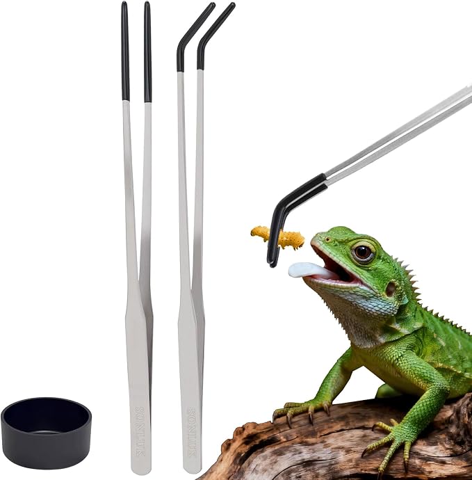 3 PACK Stainless Steel Reptile Feeding Tongs,10.62" Straight &Curved Long Feeding Tweezers&Bowl Set,Non Slip Feeding Tools with Rubber Tip,Bearded Dragon Tank Accessories (B-Silver)