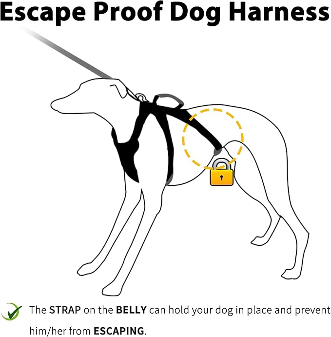 Huntboo Escape Proof Harness for Dogs, No Escape Dog Harness, No Pull Dog Harness for Small Dogs with Handle, Reflective, Breathable,Durable, Adjustable Vest for Walking,and Running Gear(Vista Blue,S)