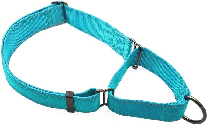 Max and Neo Nylon Extra Large Dog Martingale Collar - We Donate to a Dog Rescue for Every Collar Sold (Teal)