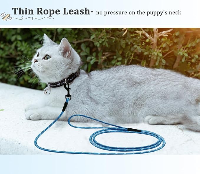 WYuZe Reflective X-Small Dog Leash 6/10/15 FT, Thin 1/5" Lightweight Rope Leash for Puppy Training, Walking Leads for Cats Chihuahua Maltese Small Pets Up to 15lb (6FT x1/5", Blue)