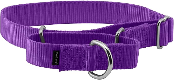 PetSafe Martingale Dog Collar Medium, 1 Inch, Deep Purple