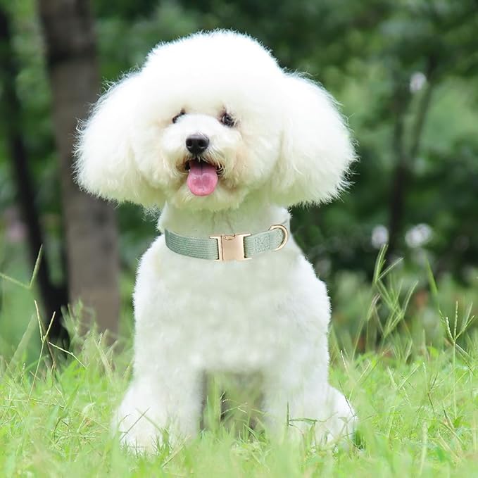 Soft Corduroy Dog Collar and Leash Set Adjustable Durable Dog Collars with Metal Buckle and Lead for Large Dogs,Grass Green