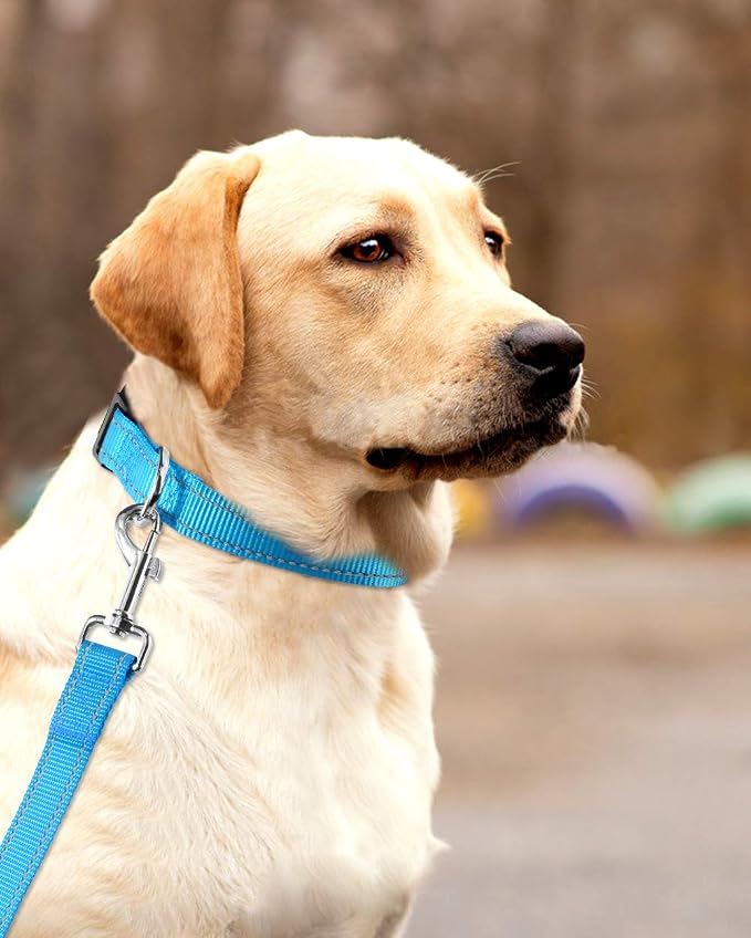 FunTags Length 16" - 24" Reflective Sky Blue Dog Collar for Large Dogs – Night Walking & Training Safety, Durable Quick Release Buckle, Nylon, Comfortable Adjustable, Width 1"