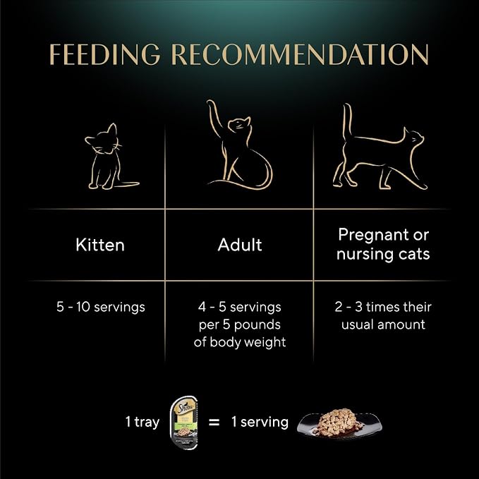 Sheba Perfect Portions Wet Cat Food Cuts in Gravy, Cat Food Wet Recipe, Turkey Entree, 2.6 oz. Twin-Pack Trays (24 Count, 48 Servings)