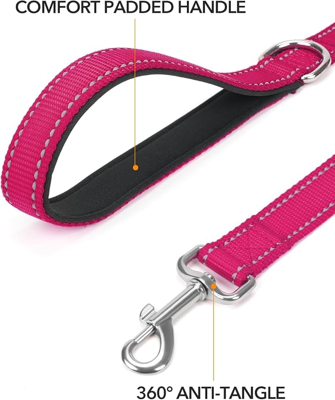 Taglory Dog Leash for Medium Large Dogs, Double-Sided Reflective Leash with Soft Neoprene Padded Handle, 1 inch by 6 ft, Fit Medium Large Breeds 20-150 lbs, Hot Pink