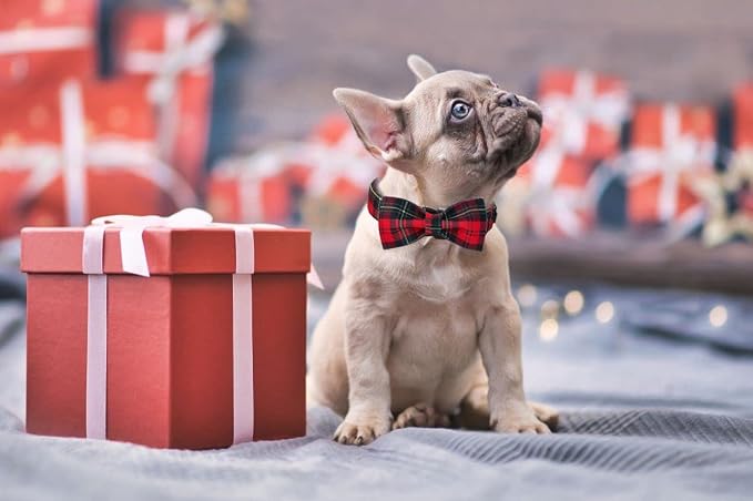 Lionet Paws Christmas Dog Collar with Bowtie, Dog Bowtie Collar with Metal Buckle for Dogs, Adjustable Comfortable Dog Collar Girl Boy Gift, XS, Neck 8-12 in
