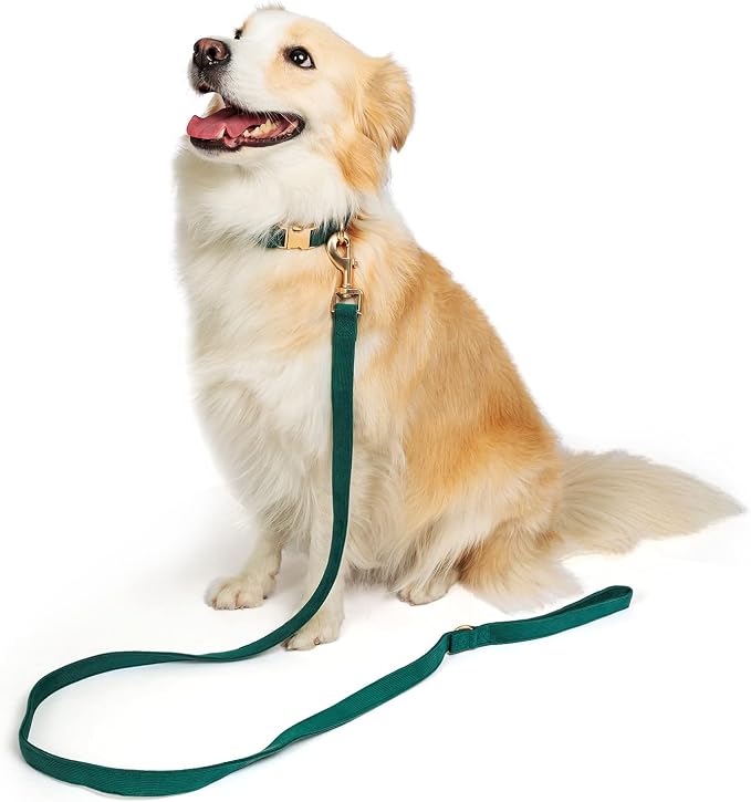 Soft Corduroy Dog Collar and Leash Set Adjustable Durable Dog Collars with Metal Buckle and Lead for Small Dogs,Dark Green