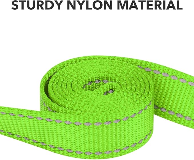 Taglory Dog Leash for Medium Large Dogs, Double-Sided Reflective for Night Walking, Neoprene Padded Handle, 1 inch by 5 ft, Heavy Duty for Medium Large Breeds 20-150 lbs, Green