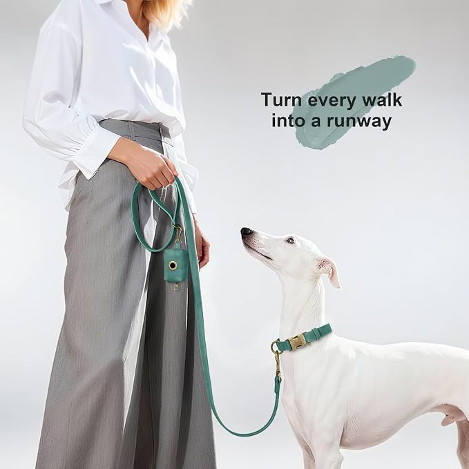 Didog Stylish PU Leather Dog Leash for Large Dogs, Easy to Clean 5ft Dog Leashes for Medium Dogs, Fashionable and Elegant for Walking, Running and Training,Green, M