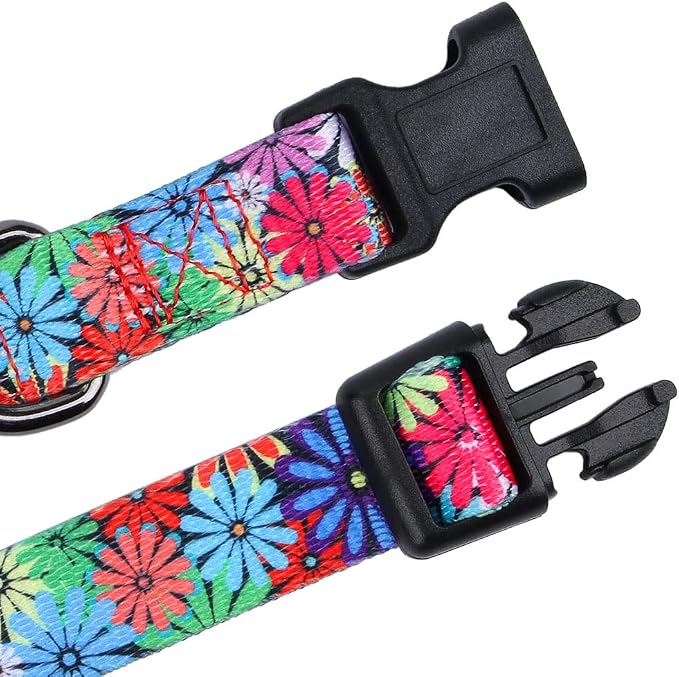 Dog Collar with Sunflowers Daisy Medium