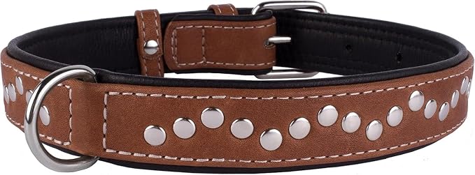 CollarDirect Studded Dog Collar Leather Pet Collars for Dogs Small Medium Large Puppy Soft Padded Brown Black (Brown, Neck fit 20" - 22")