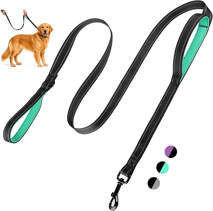 2-Handle Dog Leash Heavy Duty, Traffic Control & Night Safety Reflective Lead for Mid Large Dogs, Comfort Padded Grip Dog Leashes for Walking and Training(6 FT x 1" Wide, Black+ Teal)