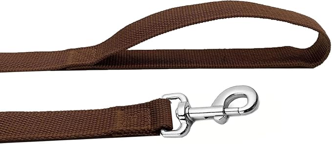 Strong Nylon Dog Leash, 4FT/ 5 FT/ 6FT Dog Leashes for Small Medium Dogs