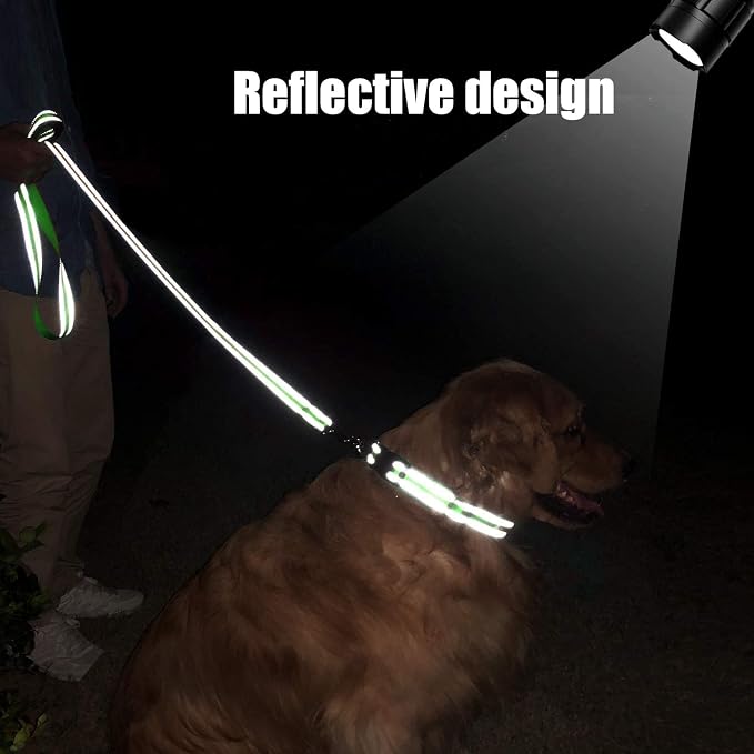 FunTags 6FT Green Reflective Dog Leash for Medium & Small Dogs Walking, Soft Padded Handle Comfortable Grip, Heavy Duty Nylon, Reflective for Night Walking, 3/4in Wide