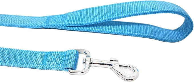 Strong Nylon Dog Leash with 2-Layer, 4 FT/ 6 Feet Long, 1 Inch Wide for Medium Large Dogs (1'' x 5 FT, Sky Blue)