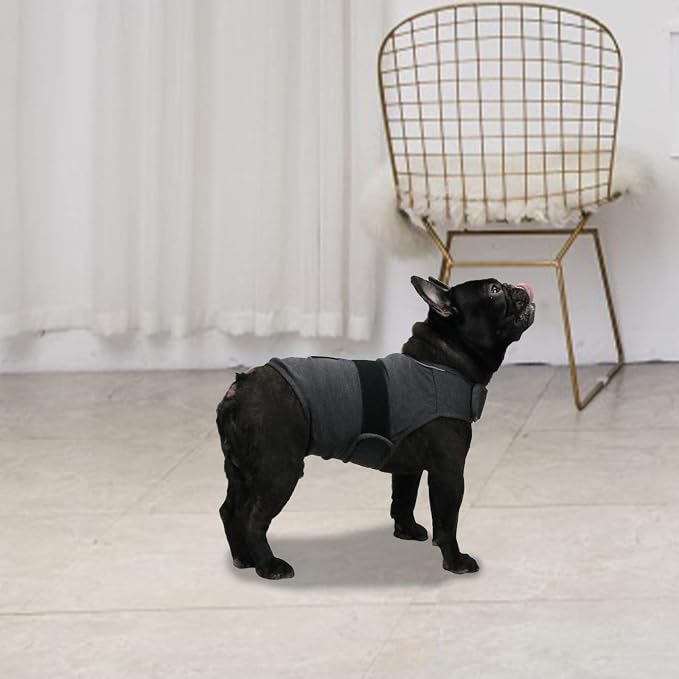Comfort Dog Anxiety Relief Coat, Dog Anxiety Calming Vest Wrap for Thunderstorm,Travel,4th of July Fireworks,Vet Visits,Separation Anxiety Relief for Dogs (M,Grey)