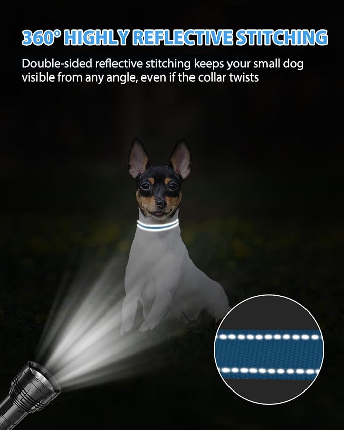 Joytale Puppy Collar, Feather-Light Double-Sided Reflective Nylon Collar for Night Safety, Adjustable Quick-Release for Extra Small Dogs, Sky Blue, XS (3/8" Width)