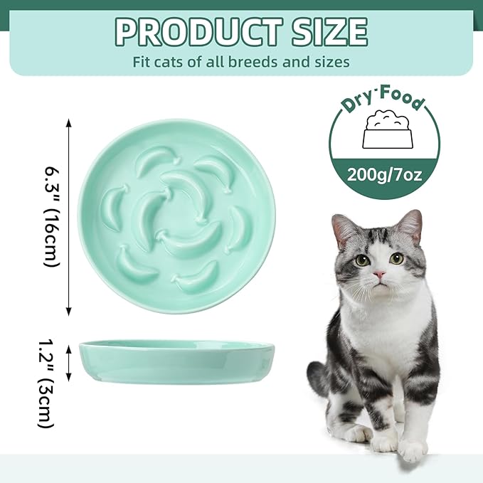 Cat Slow Feeder Bowl Set - 2 Pcs Ceramic Cat Food Plates for Slow Eating - Double Cat Dish for Dry Wet Food - Slow Feeding Cat Bowls Whisker Friendly - Microwave and Dishwasher Safe - Blue and Green