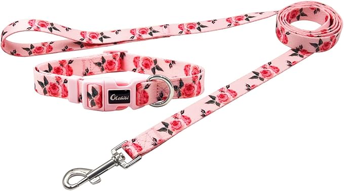Dog Collar and Leash Set, Cute Rose Pattern, Polyester Material, 5ft Leash, for Puppy Dogs.(Extra Small,Pink Rose)