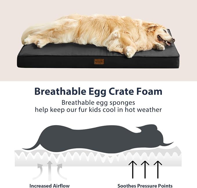 BFPETHOME Outdoor Dog Beds for Large Dogs, Waterproof Dog Bed for Medium, Large, Extra Large Dogs, Orthopedic Pet Bed with Removable Washable Cover, Egg Crate Foam Pet Bed Mat. (36 x 27in, Black)