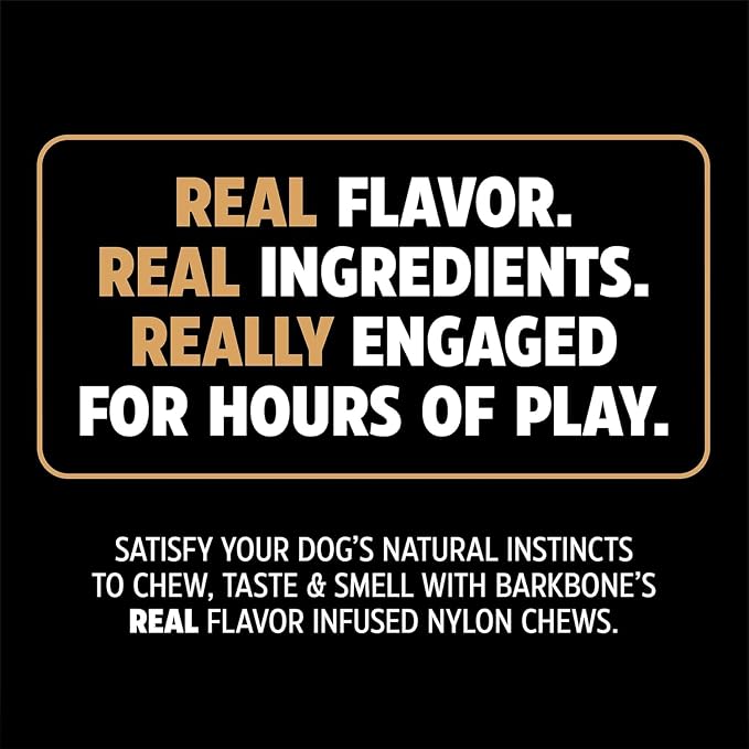 Pet Qwerks Dinosaur BarkBone, Nylon Dog Bone for Aggressive Chewers Chew Dog Toy, Bacon Flavor - Medium 8.5"