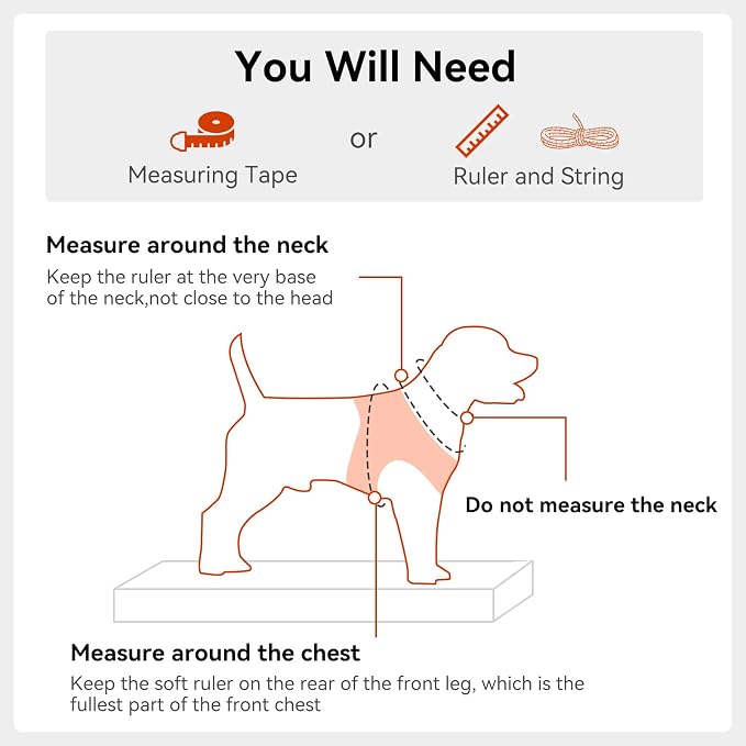 Joytale Small Dog Harness, Breathable Mesh Step-in Vest, Reflective Soft Padded Harnesses Small Sized Dog for Walking, Orange, S