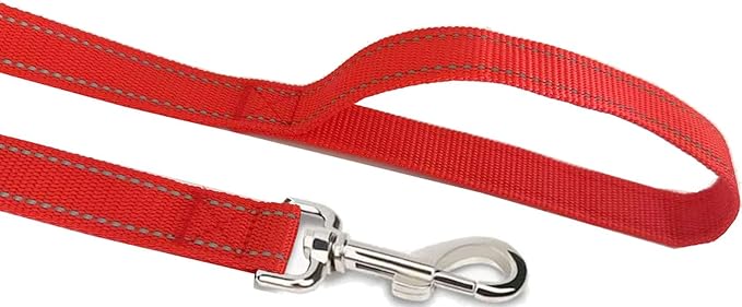 Reflective Dog Leash 4Ft /6 Feet Long, 3/4 Inch Wide, for Small and Medium Dogs