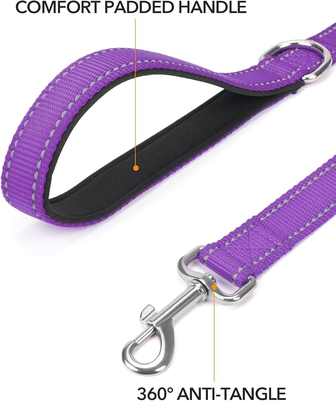 Taglory Dog Leash for Medium Large Dogs, Double-Sided Reflective for Night Walking, Neoprene Padded Handle, 1 inch by 5 ft, Heavy Duty for Medium Large Breeds 20-150 lbs, Purple