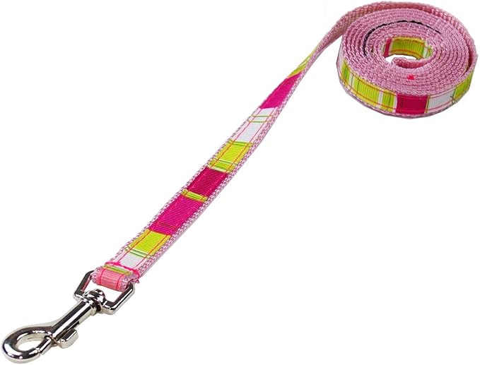 XSmall Neon Pink/Multi Stripe Dog Leash: 1/2" Wide, 4ft Length - Made in USA.