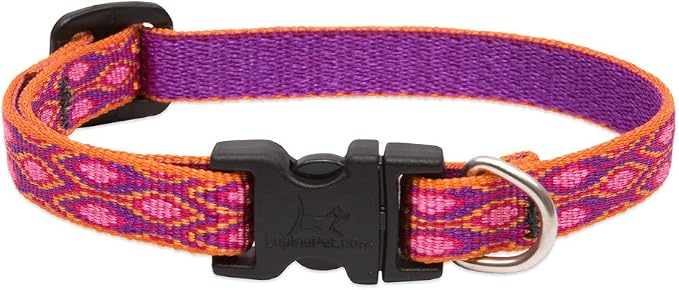 LupinePet Originals 1/2" Alpen Glow 6-9" Adjustable Collar for Extra Small Dogs