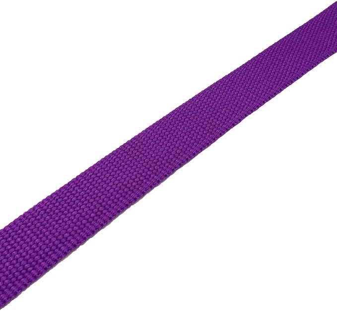 TAIAN 4FT/5FT/6FT Strong Dog Leash, Nylon Dog Leashes for Small Medium Large Dogs (Purple, 1 in x 15 ft)