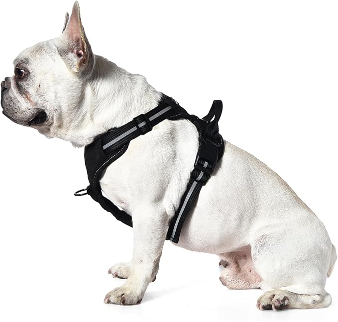 Amazon Basics No-Pull Dog Harness, Soft Padded Adjustable Vest with Reflective Stripes, Sturdy, Small, Black