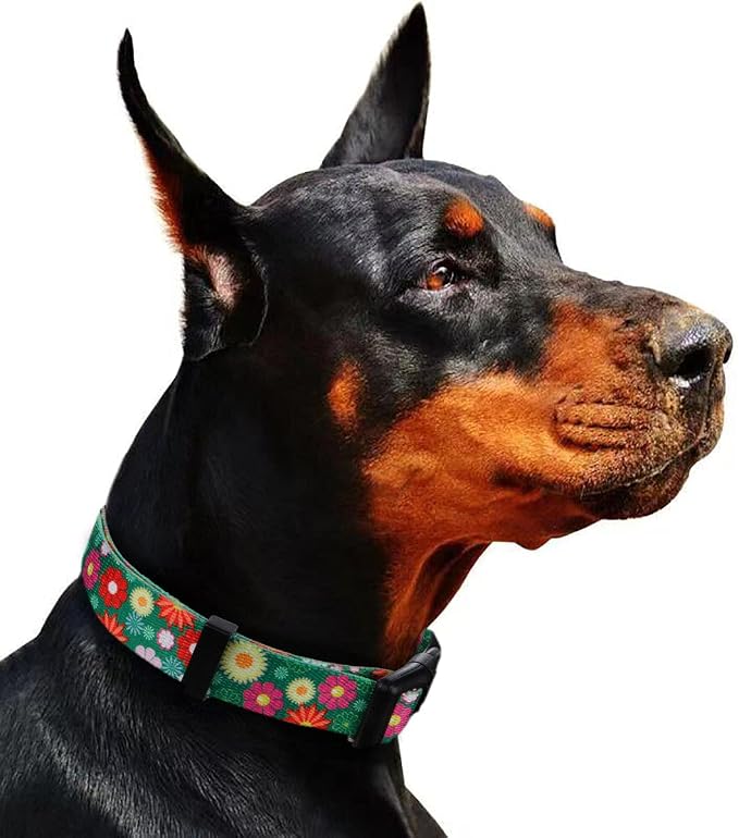 Girl Dog Collars Summer Daisy Flower Pattern, Female Adjustable Collar for Puppy, Medium, Green