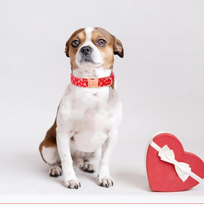 Valentines Dog Collar, Red Pink Heart Valentine Pet Collar with Metal Buckle, Durable Adjustable Holiday Dog Collars for Small Medium Large Dogs L
