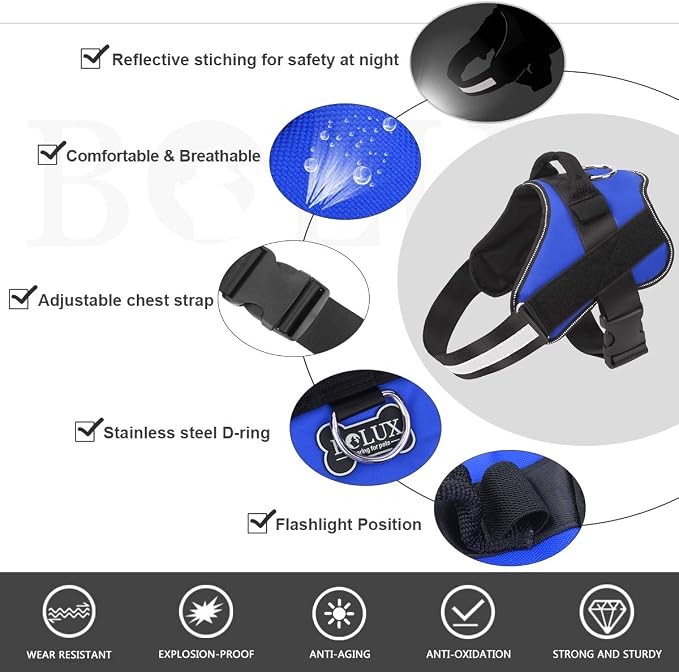 Dog Harness, No-Pull Reflective Dog Vest, Breathable Adjustable Pet Harness with Handle for Outdoor Walking - No More Pulling, Tugging or Choking (Blue, XL)