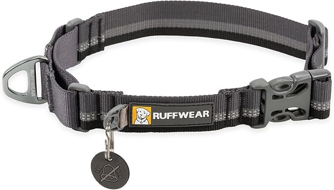 Ruffwear, Web Reaction Dog Collar, Escape-Proof Security Buckle, Adjustable Anti-Slip Martingale Collar with Durable Nylon Tubelok Webbing & Silent ID Attachment, Basalt Gray, 11"-14"