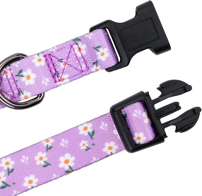 Daisy Girl Dog Collars, Floarl Design for Large Dogs, Purple