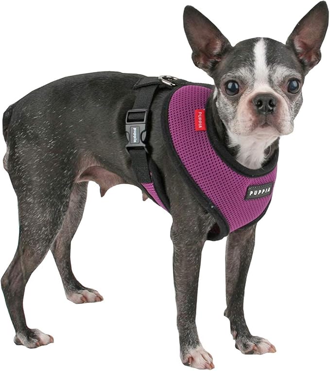 Puppia Soft Dog Harness No Choke Over-The-Head Triple Layered Breathable Mesh Adjustable Chest Belt and Quick-Release Buckle, Purple, XX-Large