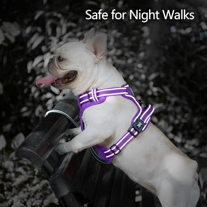 PoyPet No Pull Dog Harness, No Choke Reflective Dog Vest, Adjustable Pet Harnesses with Easy Control Padded Handle for Small Medium Large Dogs(Purple Matching Trim,L)