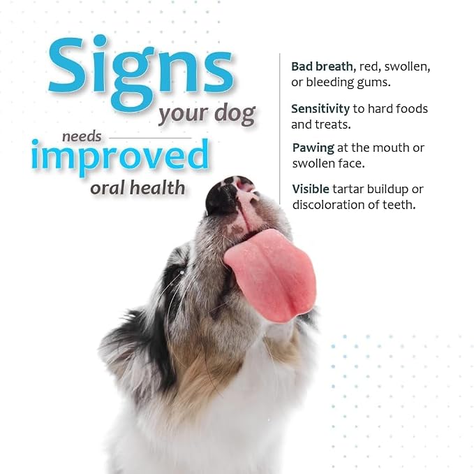 Oral Hygiene Chews for Large Dogs – Enzymatic Dental Treats for Daily Oral Care, Helps Clean Teeth & Freshen Breath, Supports Plaque & Tartar Control – 30 Chews (3 Pack)